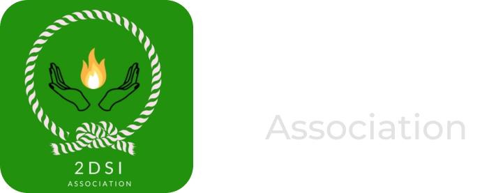 2DSI Association